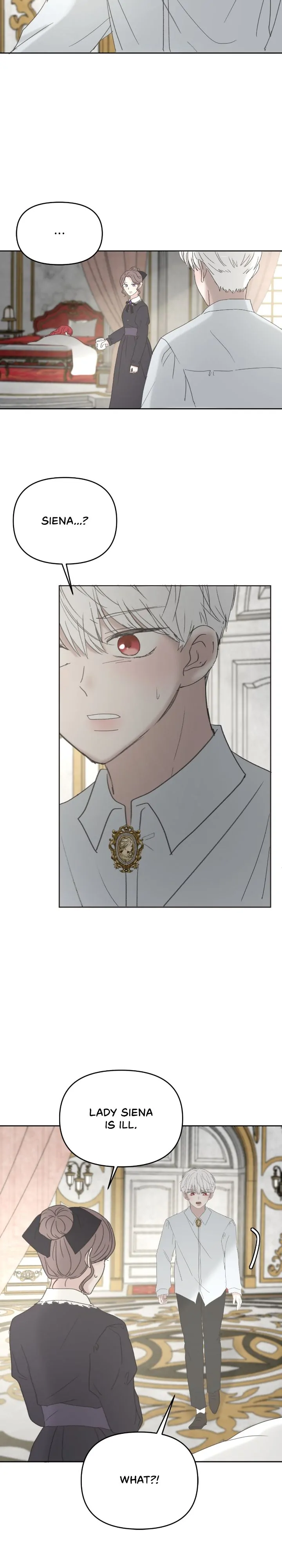 52823319 720 3998 101084